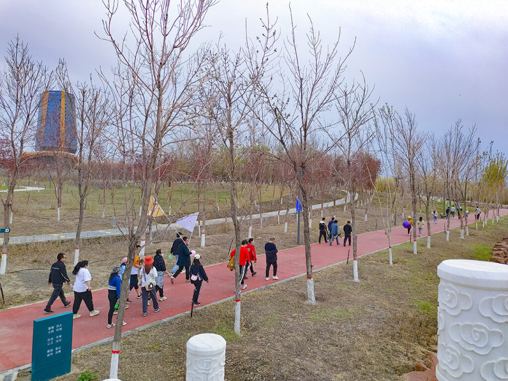 拥抱大自然·健康徒步行|尊龙凯时物流春日团建