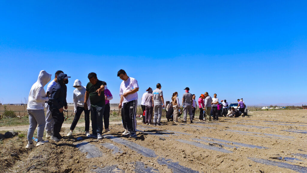 走进田园 播种希望|尊龙凯时物流春种团建活动