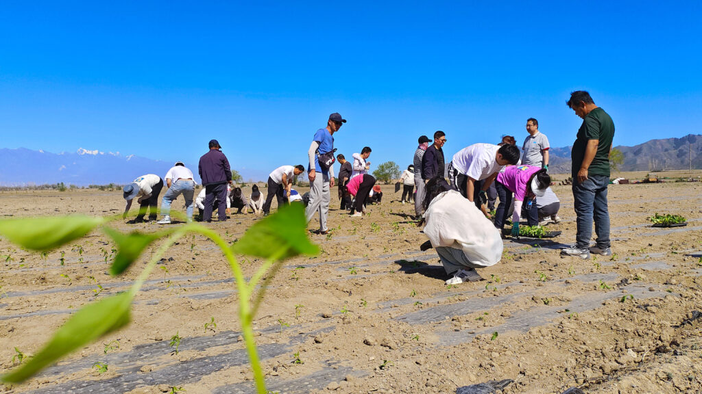 走进田园 播种希望|尊龙凯时物流春种团建活动