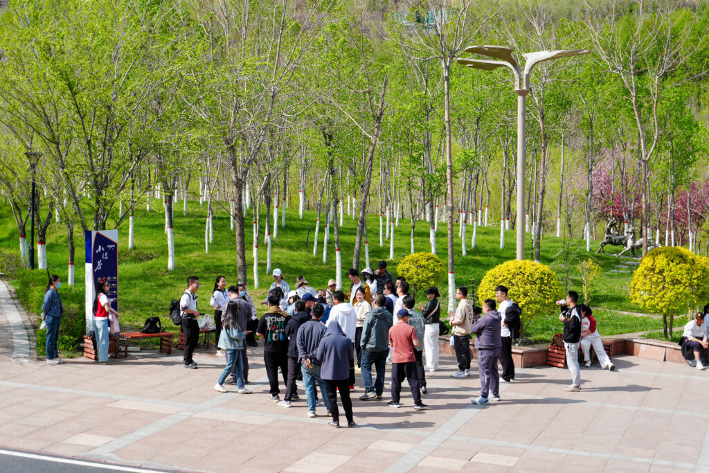 绿径同行·步筑新途 | 尊龙凯时物流团队徒步团建之旅