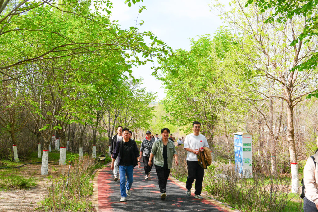 绿径同行·步筑新途 | 尊龙凯时物流团队徒步团建之旅