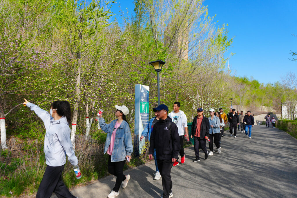 绿径同行·步筑新途 | 尊龙凯时物流团队徒步团建之旅